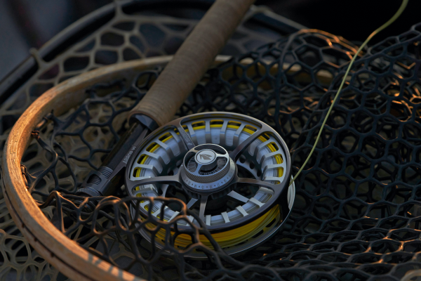 Sage ARBOR XL Fly Reel Action 5